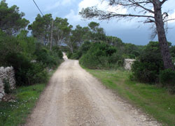 Walking in Menorca at Son Bou